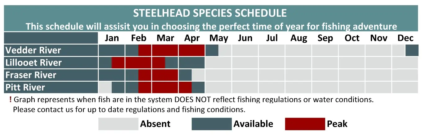 Steelhead Fishing fishing calendar