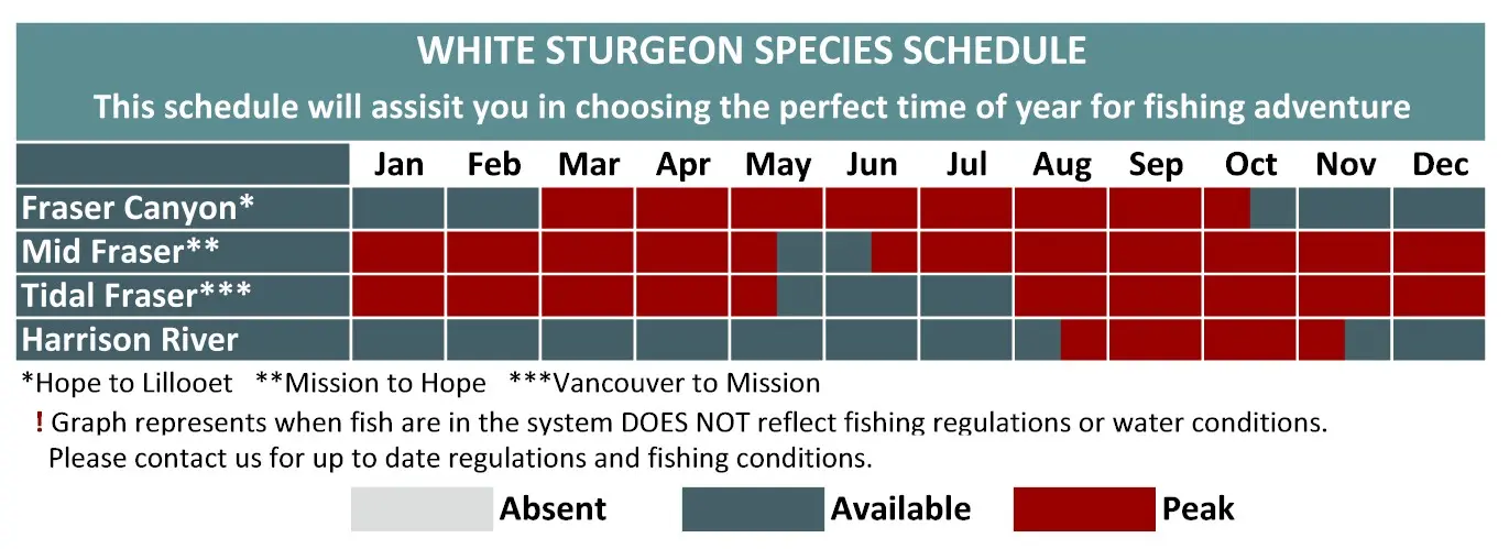 Sturgeon Fishing fishing calendar