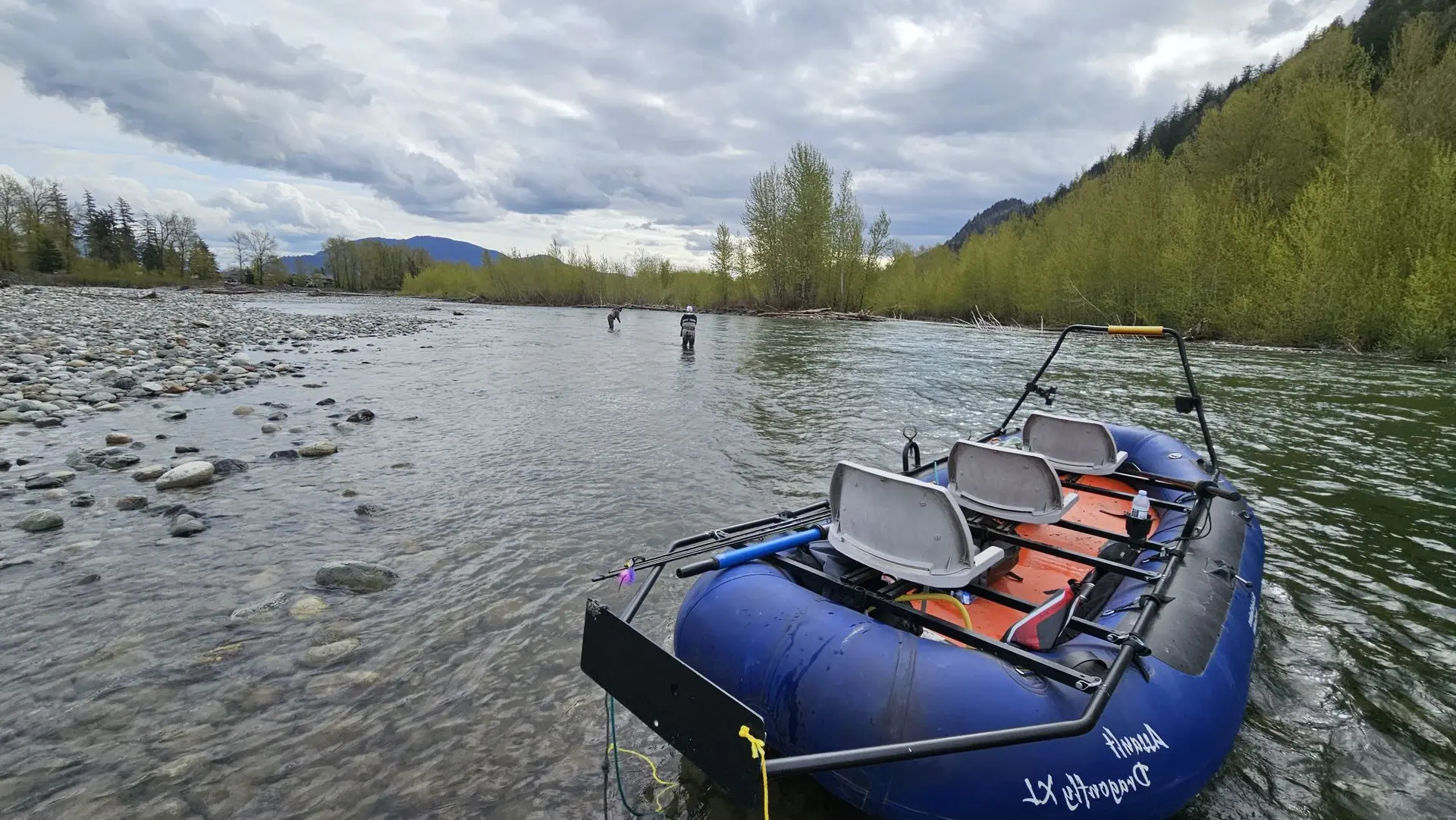 Steelhead Fishing