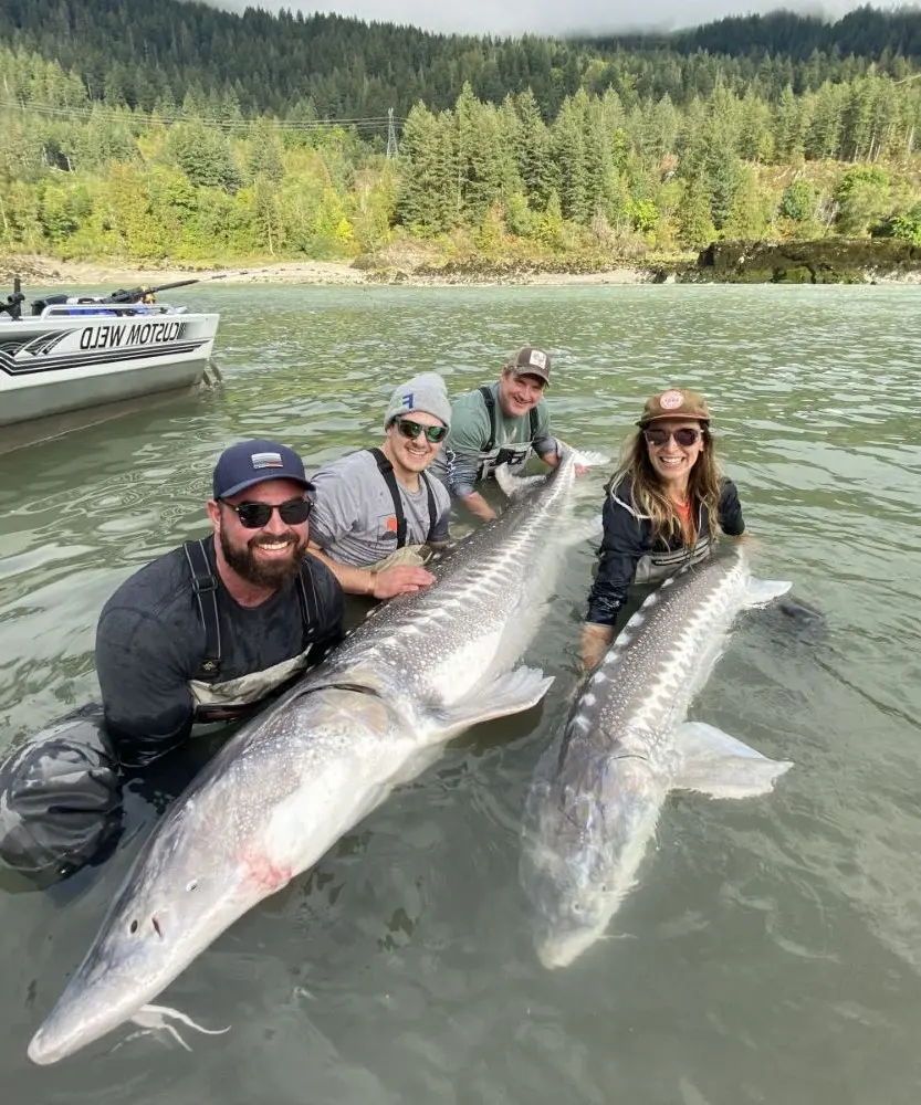 Sturgeon Fishing