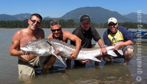 Big Sturgeon