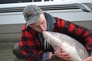 Sturgeon Fishing on the Fraser River