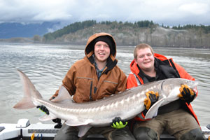 Sturgeon Fishing on the Fraser River