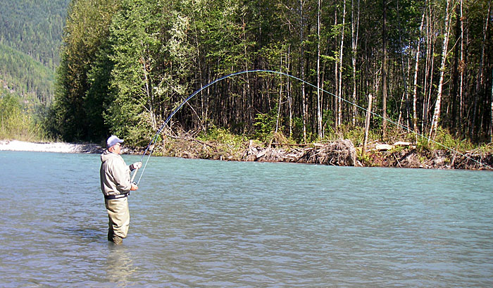 Trout Fly Fishing
