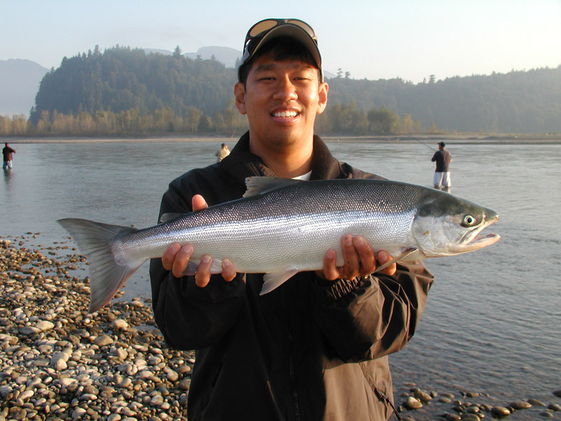 sockeye_salmon_001