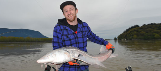 Fraser River, Sturgeon Fishing, Chilliwack, Vancouver, Fishing, Harrison