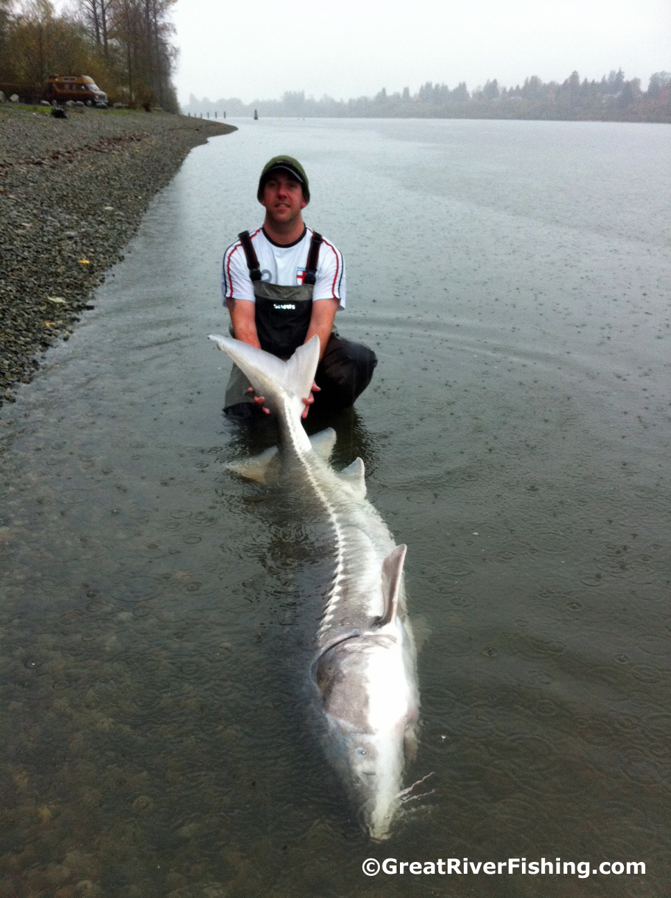 Fraser River Sturgeon Fishing