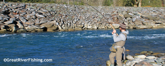 Vedder River Steelhead Fishing
