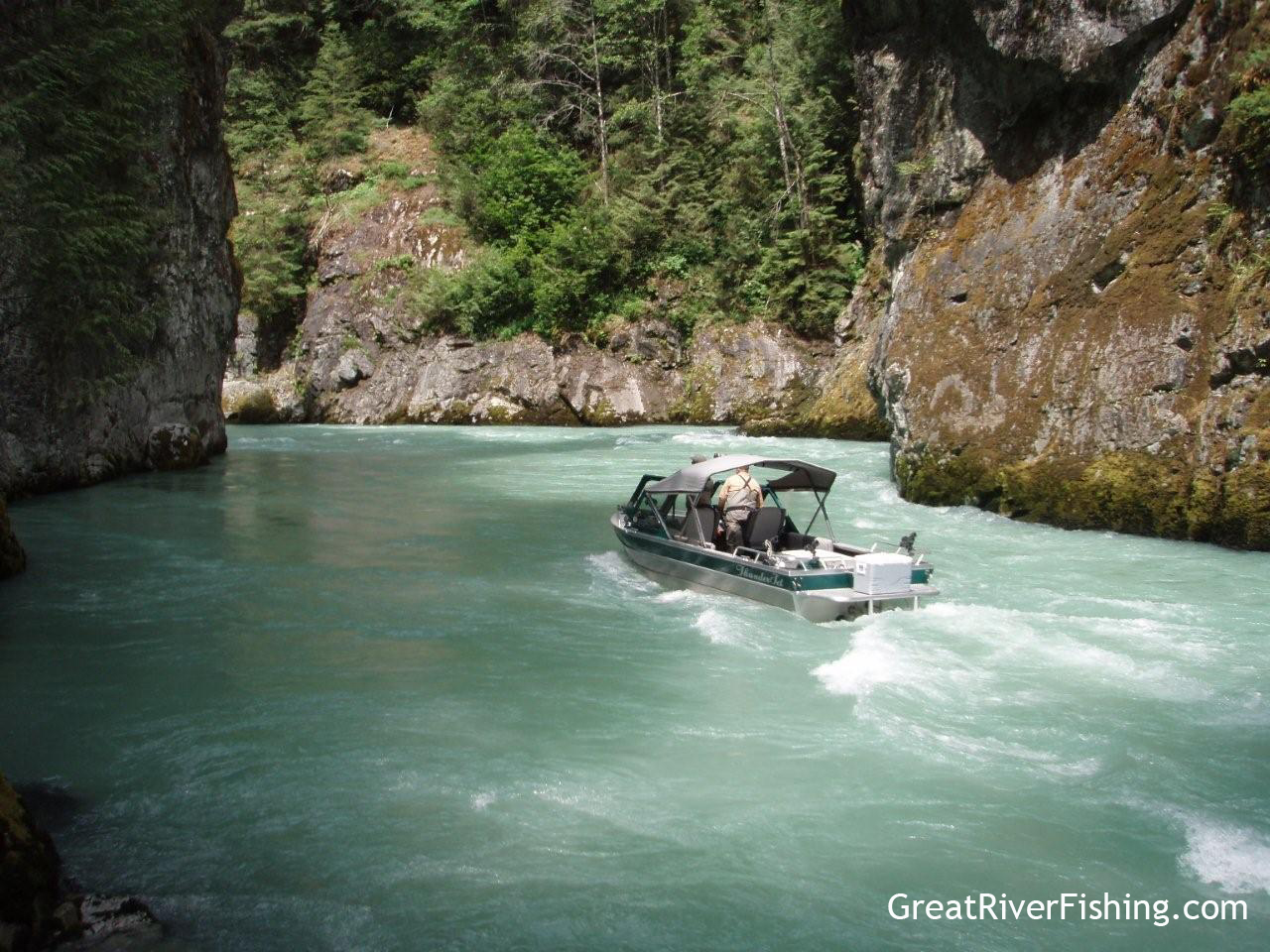 Pitt River Fishing