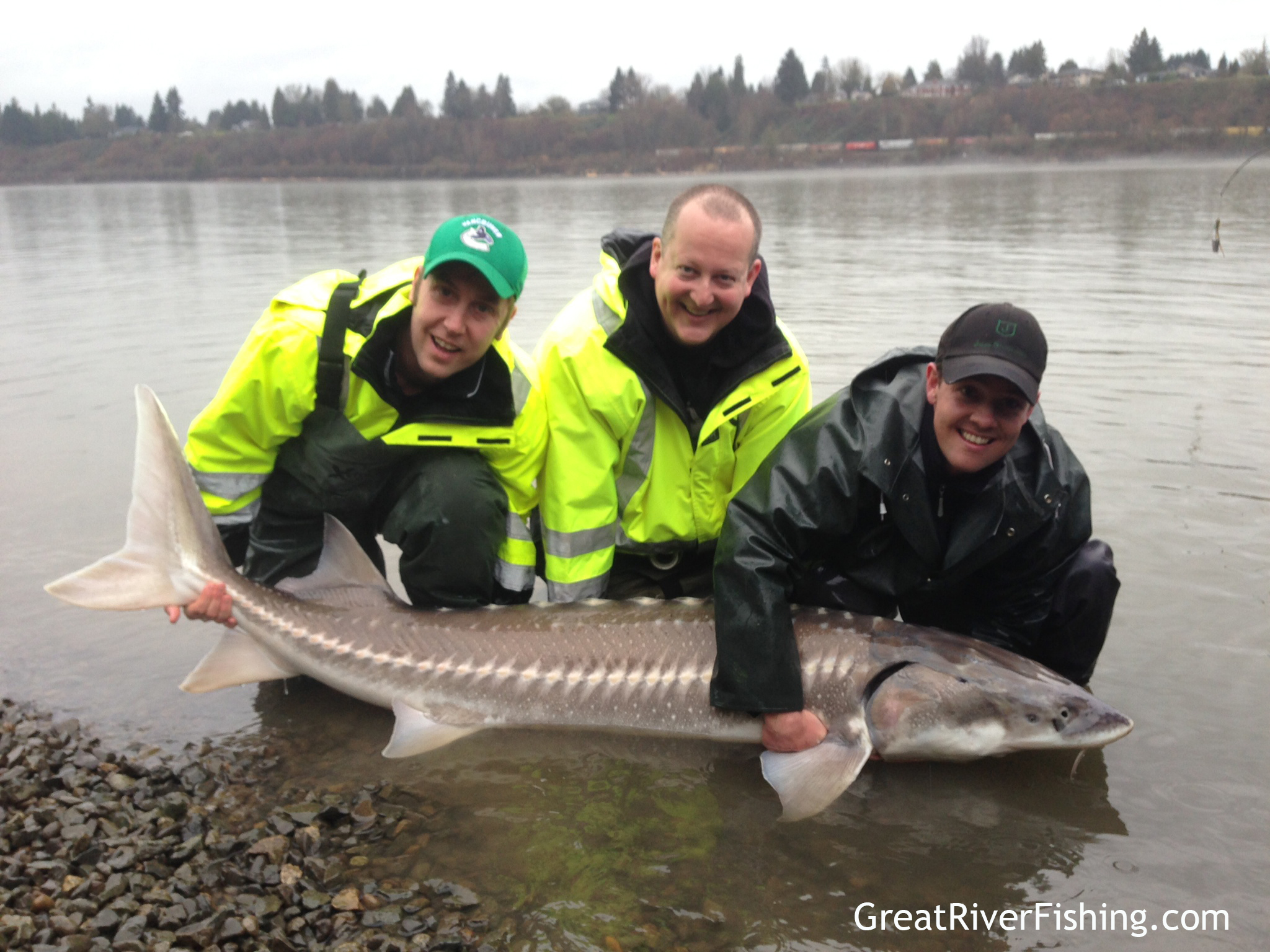 Fraser River Sturgeon Fishing