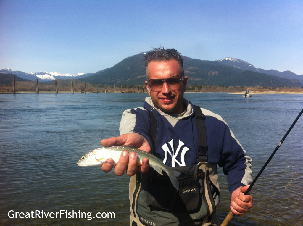 Trout Fishing on the Harrison River