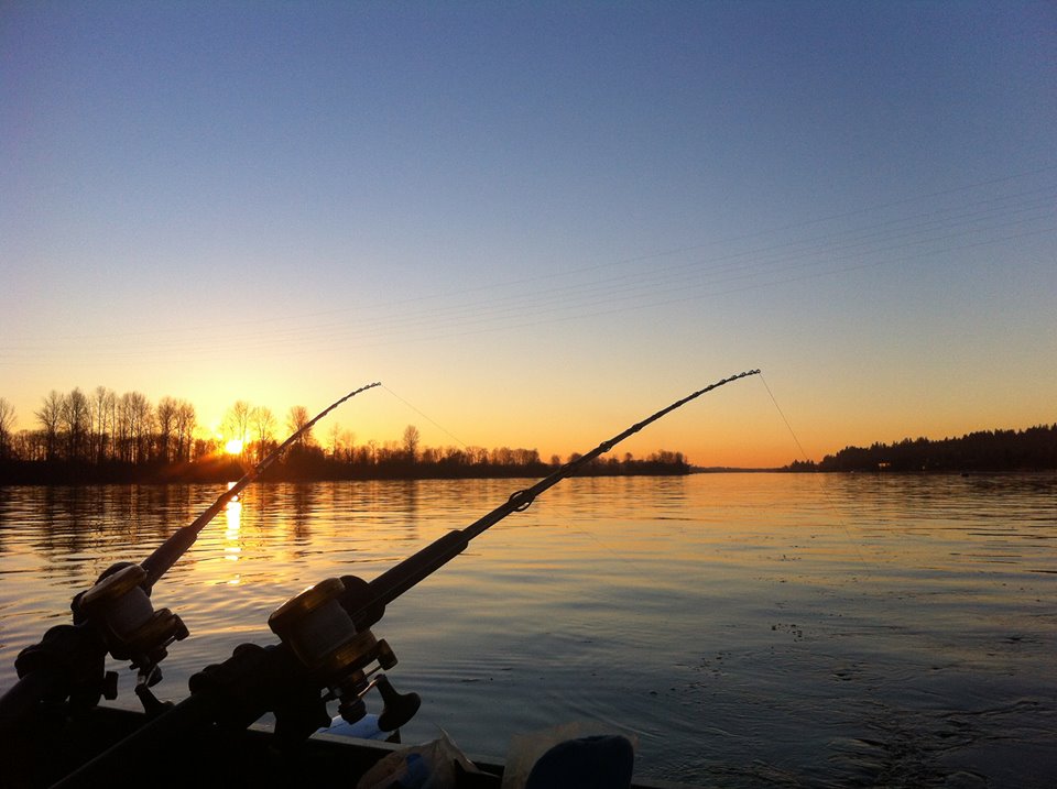 No view better!