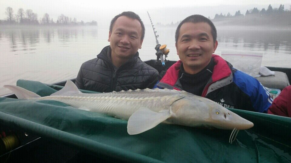 It was a little foggy but the sturgeon were biting