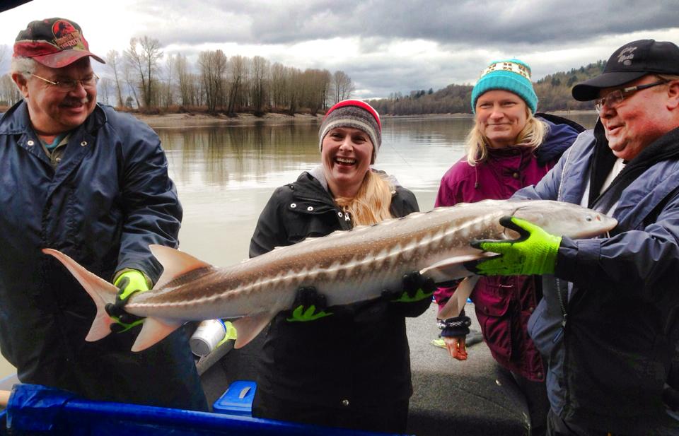 Lisa lands her first sturgeon
