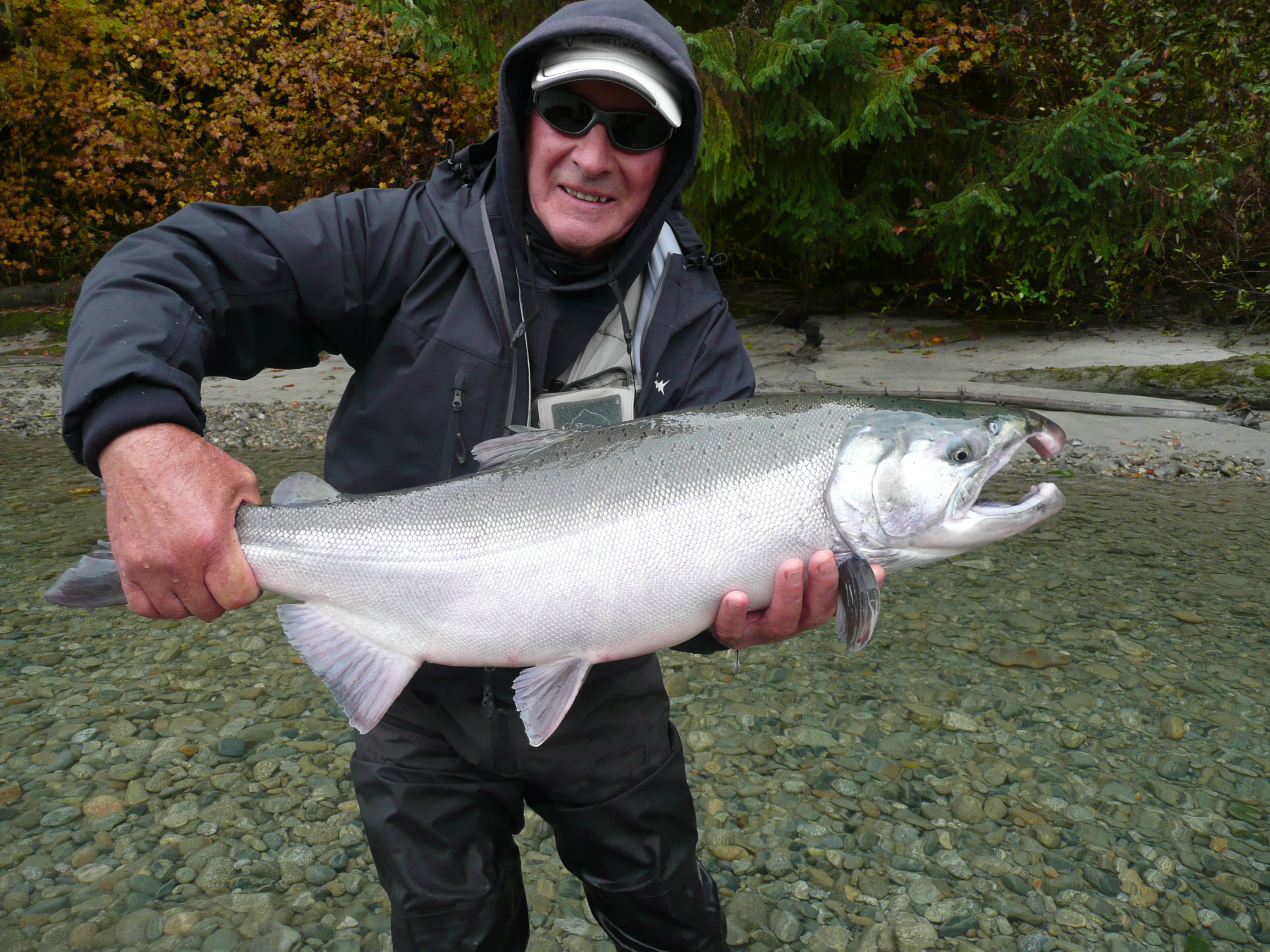 Fly-Fishing on the Upper Pitt River