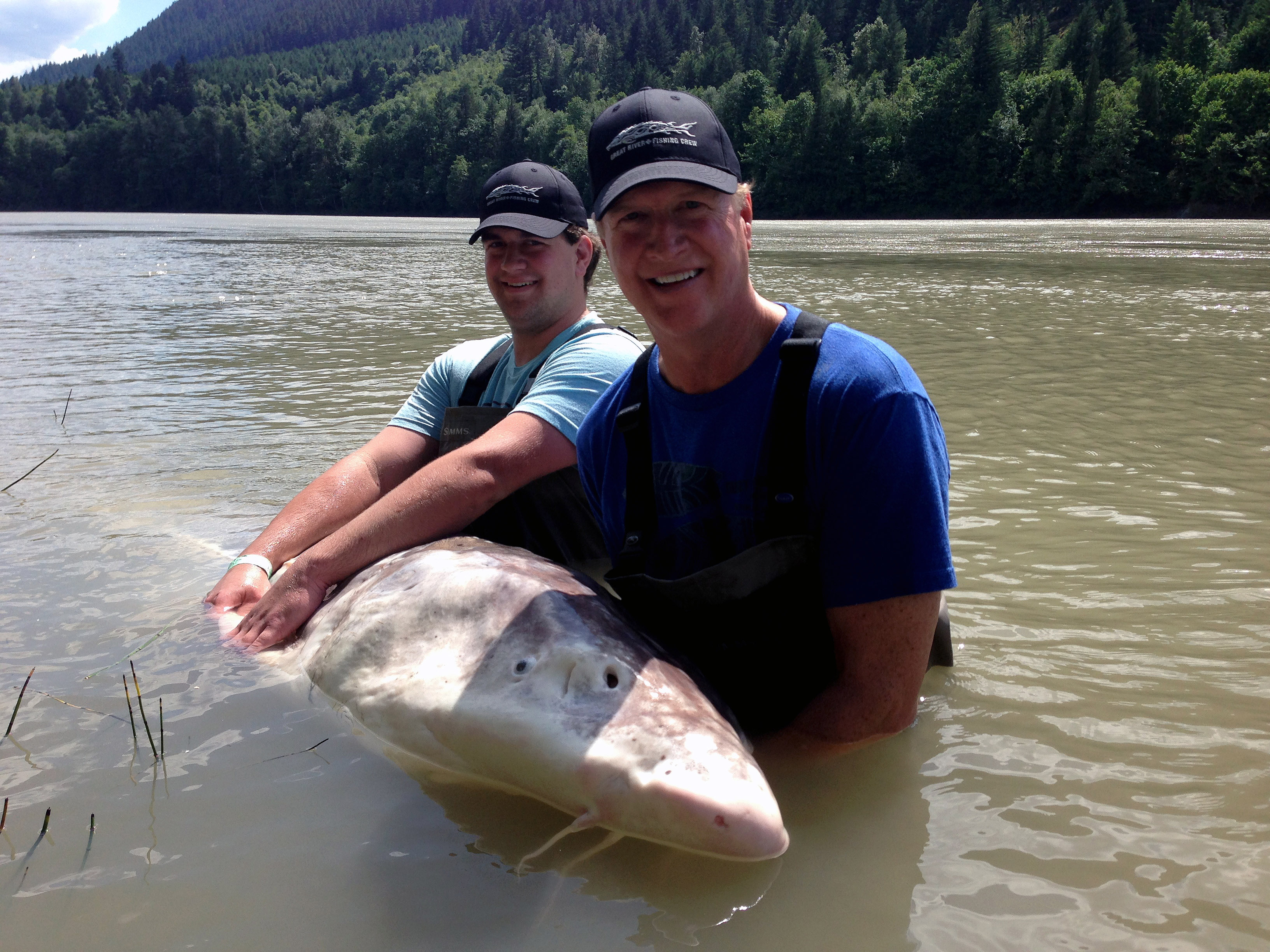 Sturgeon Fishing on the Fraser River