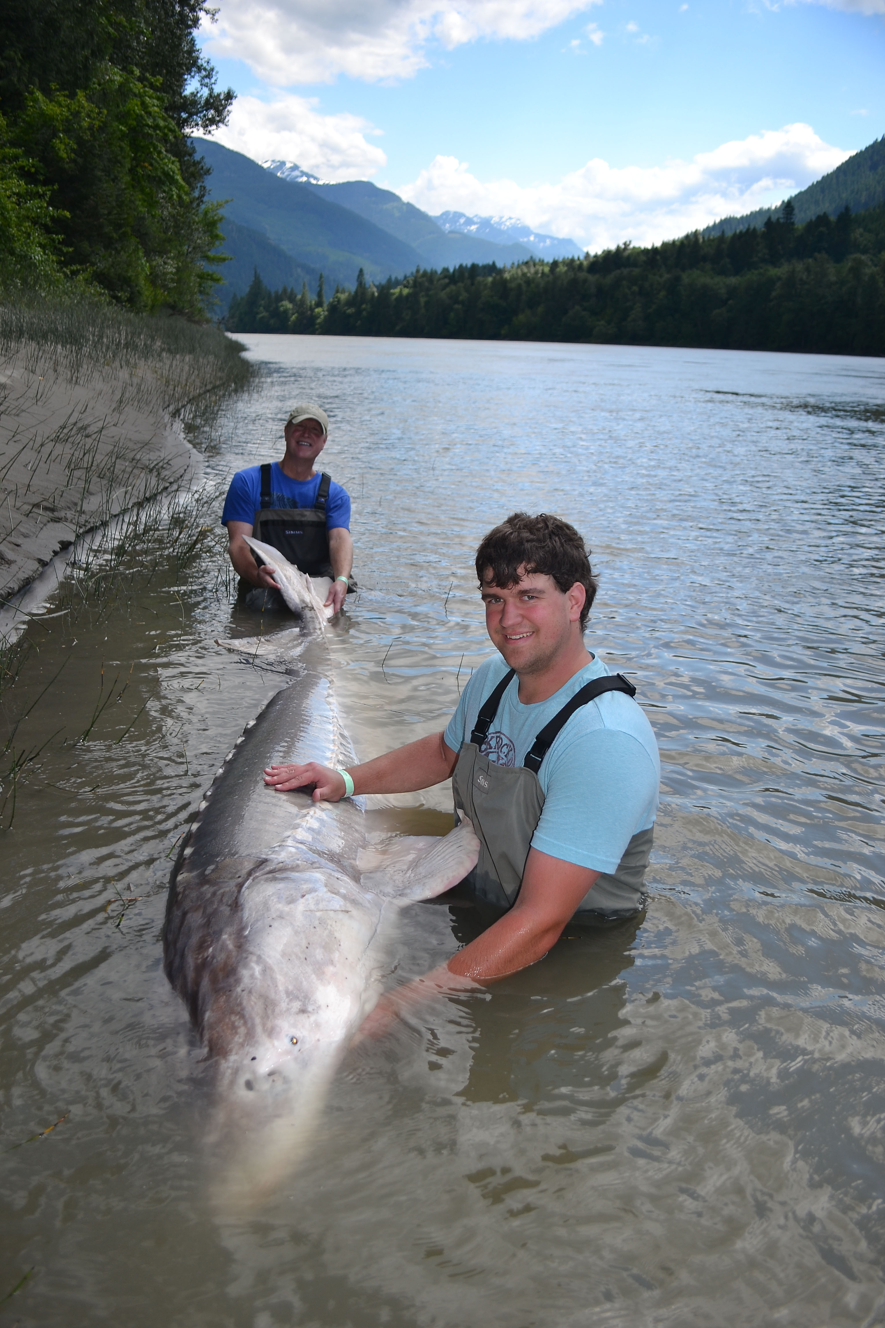 Sturgeon Fishing on the Fraser River