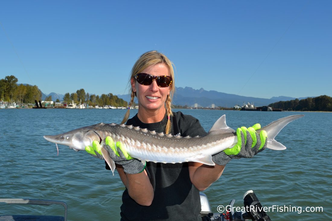 fraser-river-sturgeon-fishing-0023-1100x733